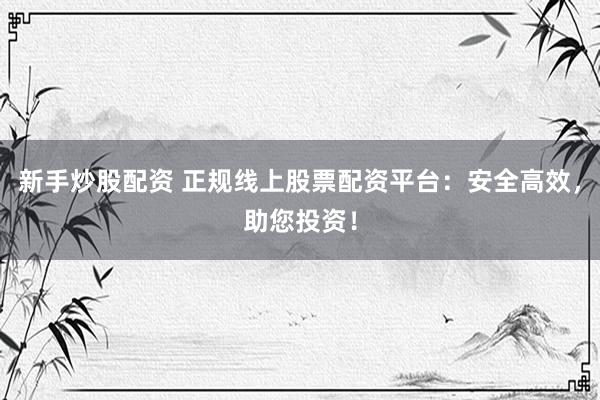 新手炒股配资 正规线上股票配资平台：安全高效，助您投资！