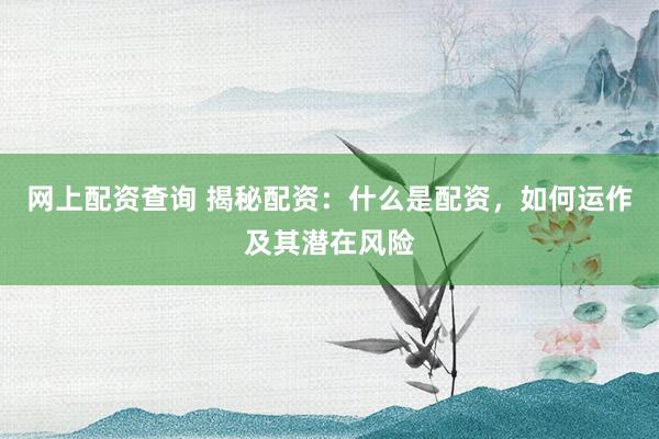 网上配资查询 揭秘配资：什么是配资，如何运作及其潜在风险