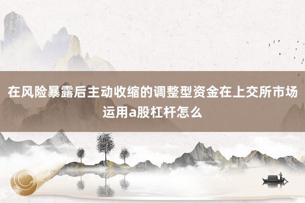 在风险暴露后主动收缩的调整型资金在上交所市场运用a股杠杆怎么