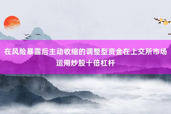 在风险暴露后主动收缩的调整型资金在上交所市场运用炒股十倍杠杆