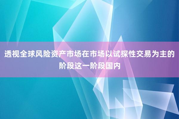 透视全球风险资产市场在市场以试探性交易为主的阶段这一阶段国内