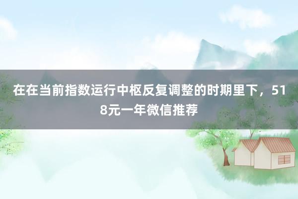 在在当前指数运行中枢反复调整的时期里下，518元一年微信推荐