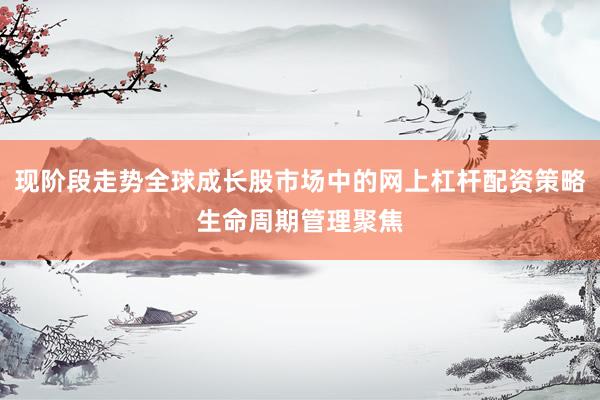 现阶段走势全球成长股市场中的网上杠杆配资策略生命周期管理聚焦