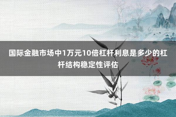 国际金融市场中1万元10倍杠杆利息是多少的杠杆结构稳定性评估