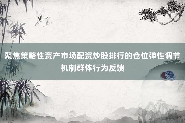 聚焦策略性资产市场配资炒股排行的仓位弹性调节机制群体行为反馈