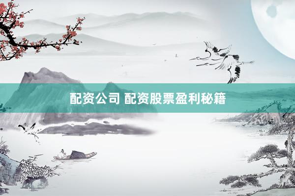 配资公司 配资股票盈利秘籍